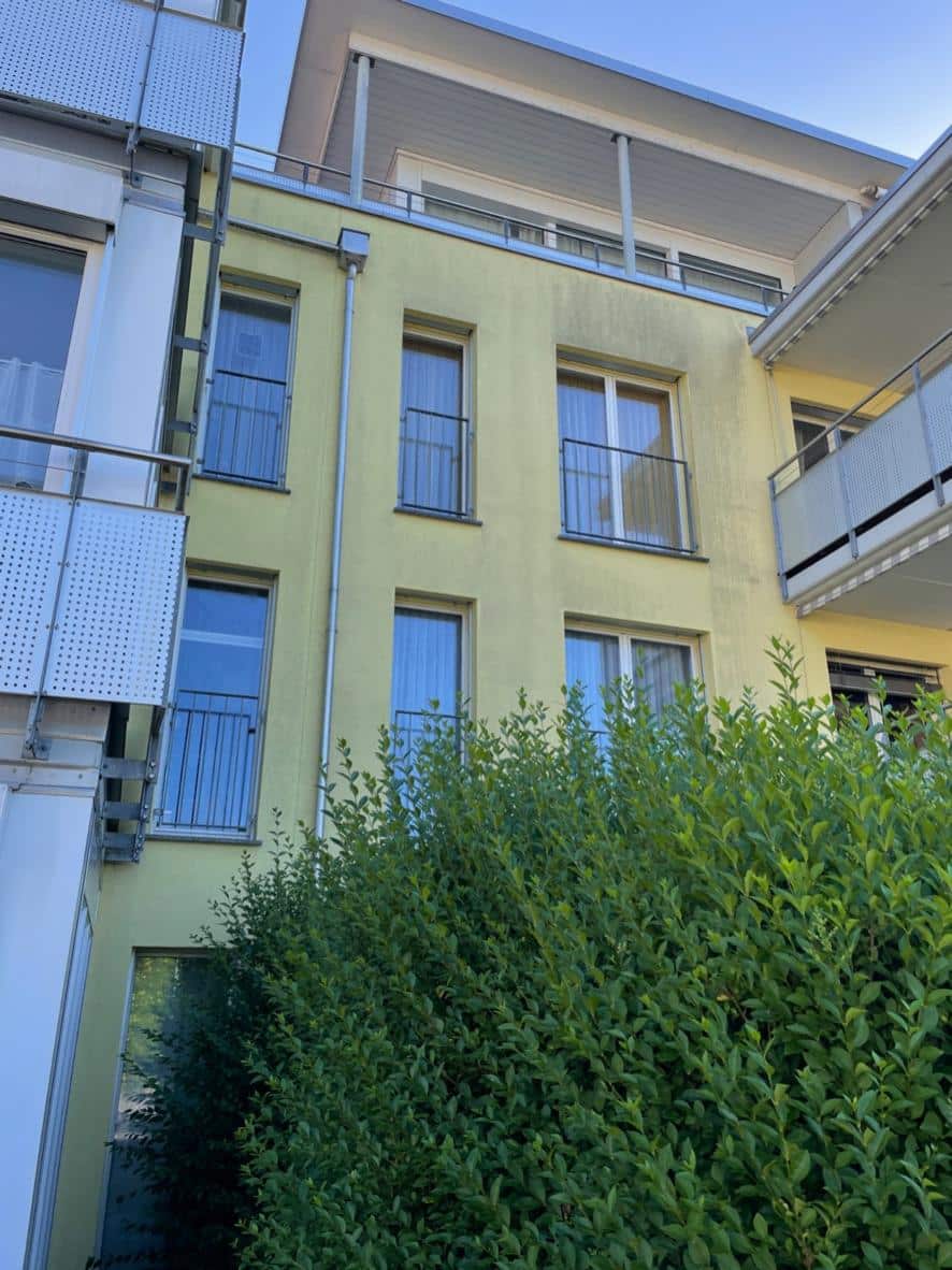 Före: Putsfasad – borttagning av grönalger