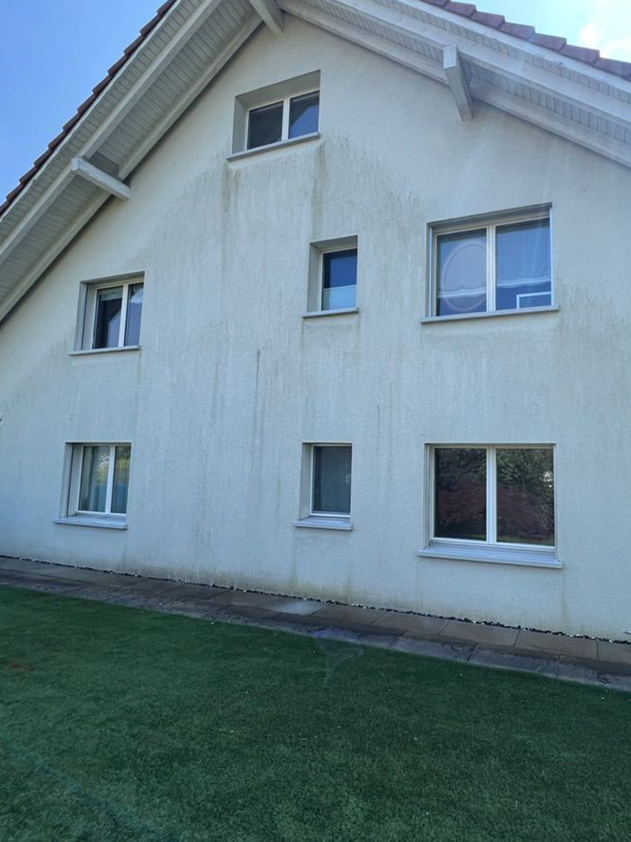 Före: Villa – softwash av gavelfasad med algpåväxt